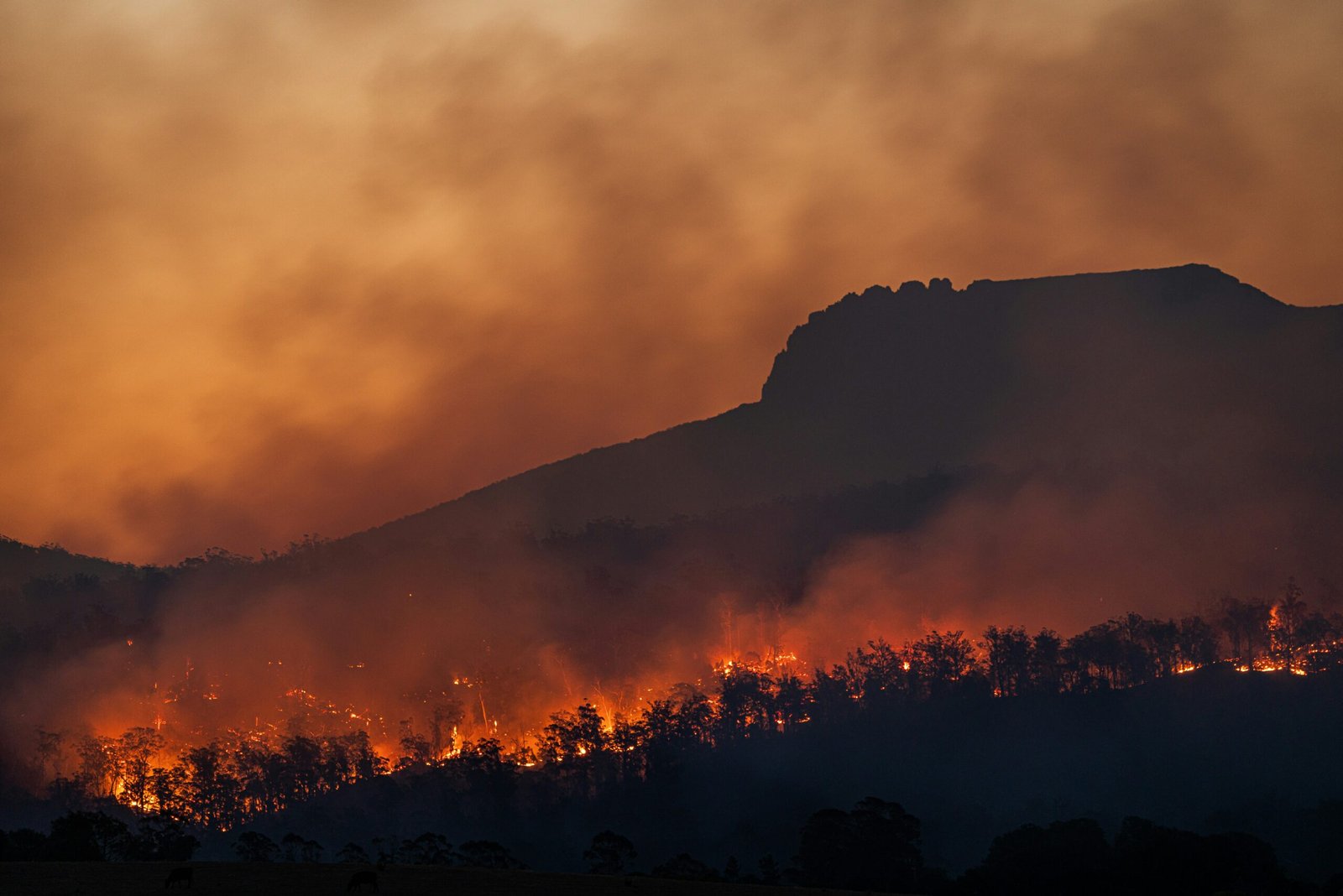 Exploring and Ranking the Latest Climate Change Examples: How Technology Can Make a Difference